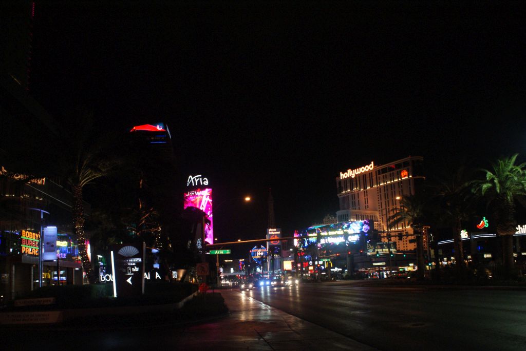 SONY DSC